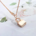 [Eternal Jewelry]AMULETTE PEDANT ROSE GOLD NECKLACE - 图片 6