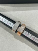 [Eternal Jewelry]LIENS EVIDENCE  DIAMOND PAVED RING - 图片 4